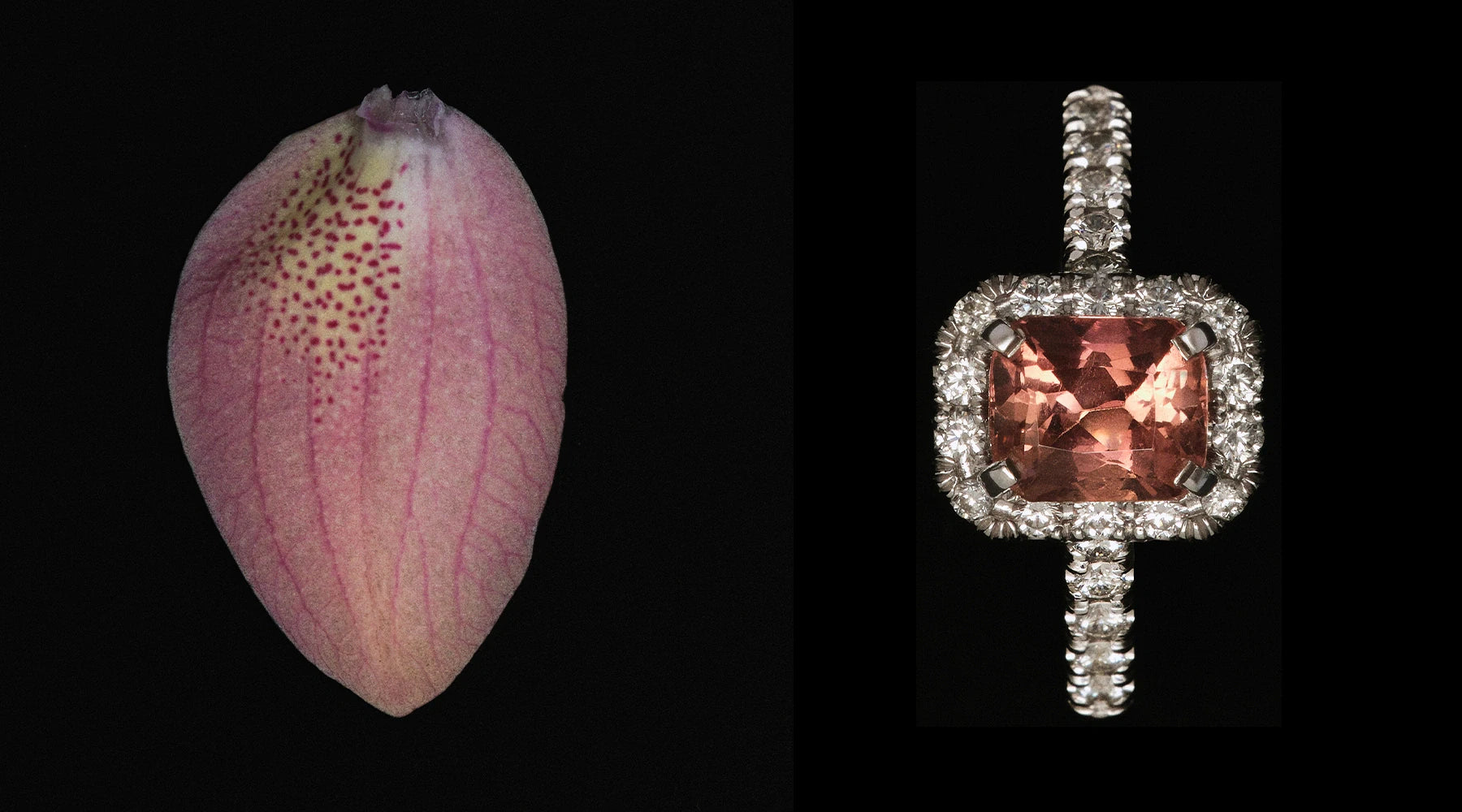 Biżuteria BELLER inspirowana naturą, pierścionek z różowym turmalinem i diamentami ze złota